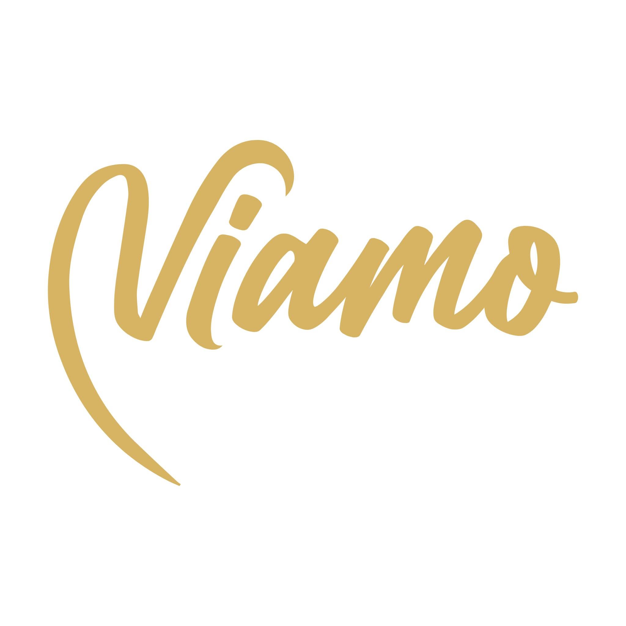 Logo Viamo